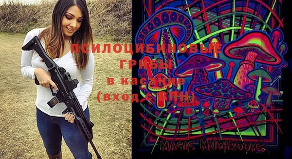 бошки Алексин