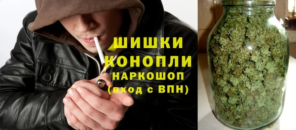 бошки Алексин